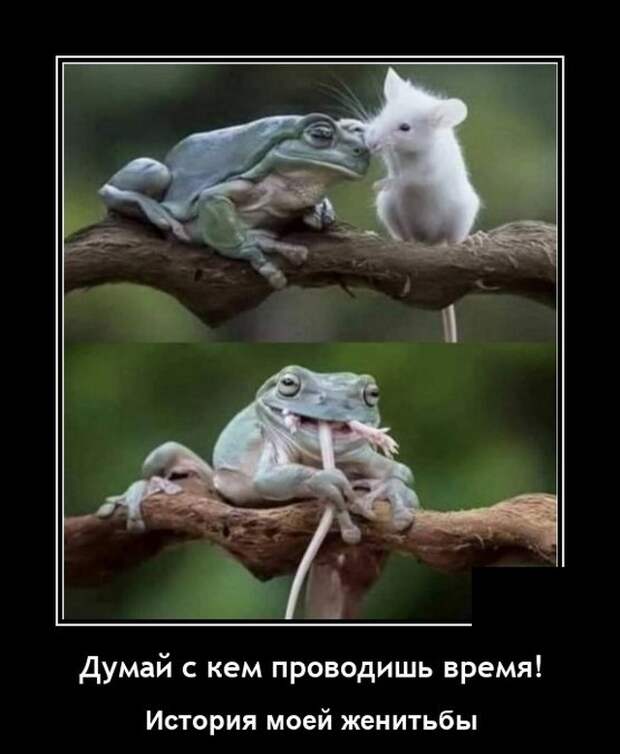 Демотиваторы 27 июля 2021 года