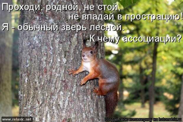 kotomatrix_126