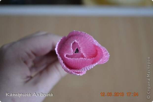 Мастер-класс Свит-дизайн Бумагопластика МК тюльпан с конфеткой Бумага гофрированная фото 17