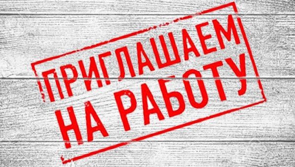 85% объявлений о работе в России оказались обманом