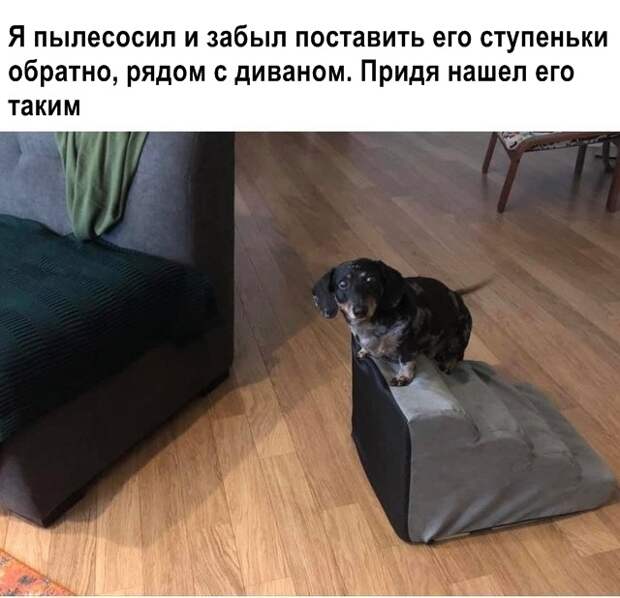 Подборка прикольных картинок