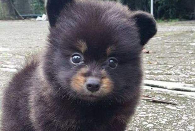 Удивительно