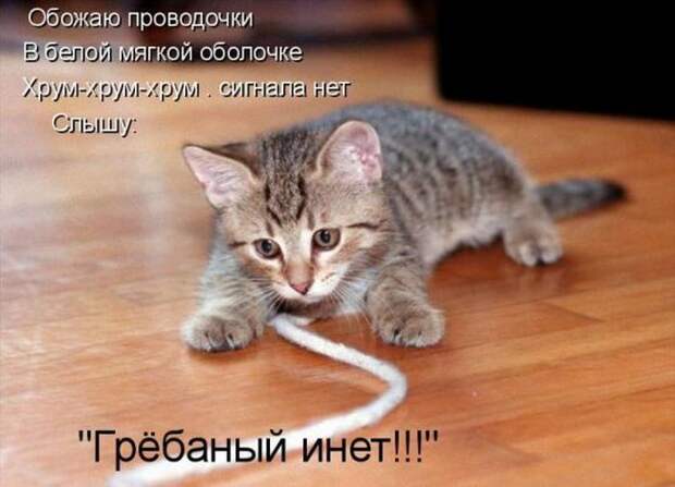 Мысли вслух :)