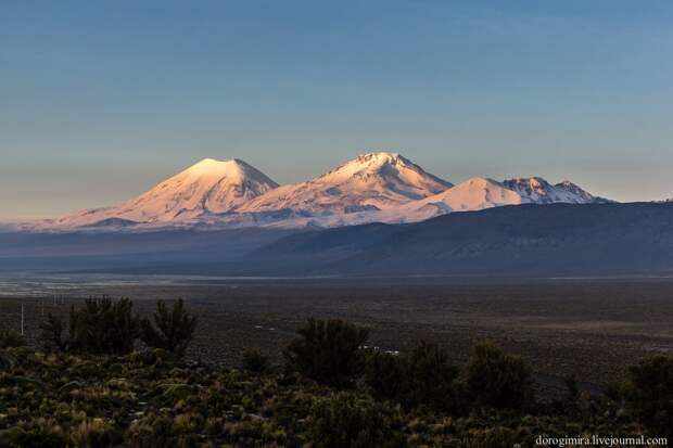 Sajama28 Национальный парк Сахама