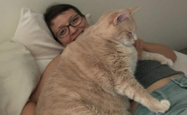 We Fell In Love With This 33-Pound Cat, So We Decided To Adopt Him And Start His Weight Loss Journey