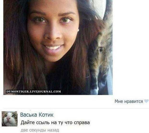 Смешные комментарии из социальных сетей