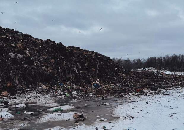 Мусорный полигон «Реал – Кстово» в Кстовском районе прикрыли на 45 дней