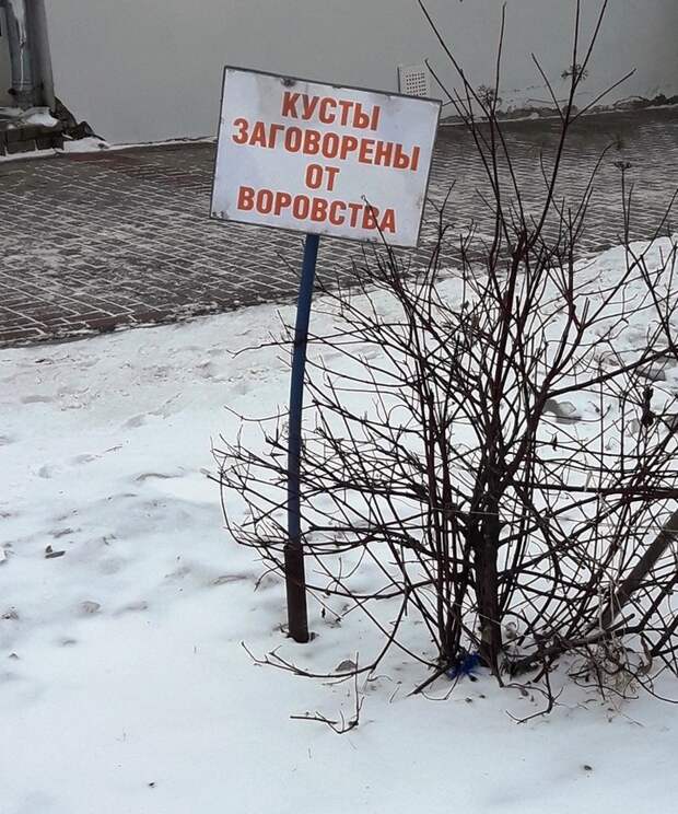 www.vsyako.net