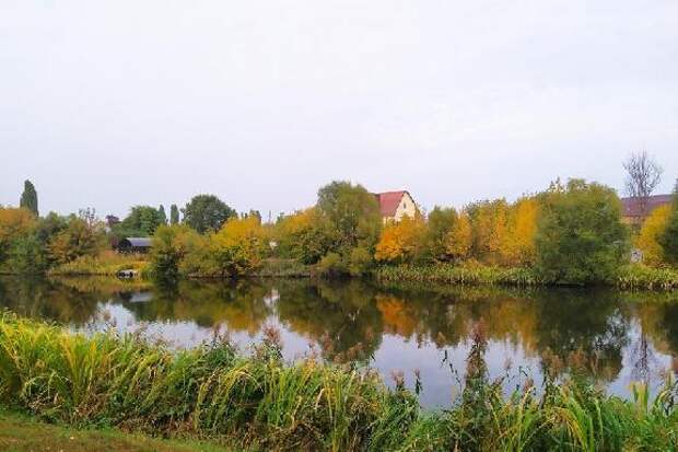 В Тамбове на этой неделе ожидается около +8 градусов