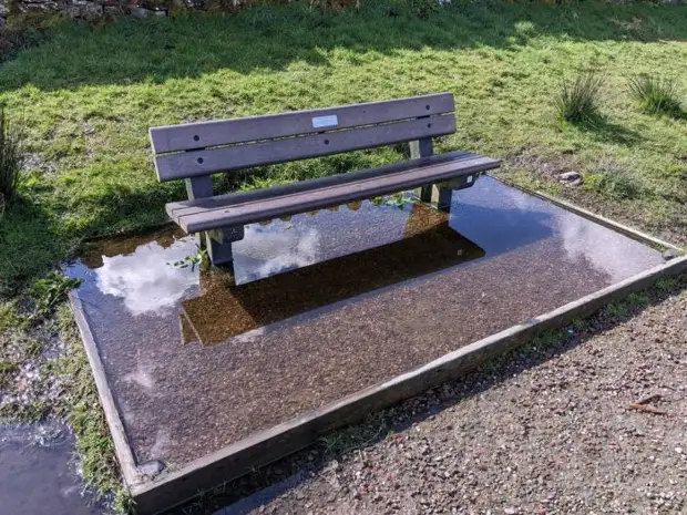 Позитив и юмор в смешных фотографиях