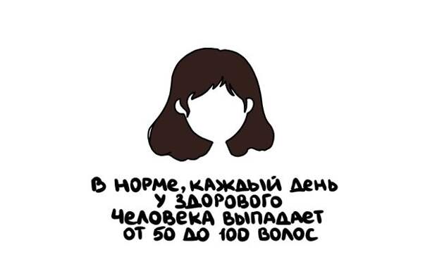 Короткие интересные факты на все случаи жизни
