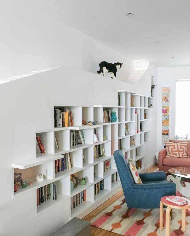Дом для большого количества книг и кошек