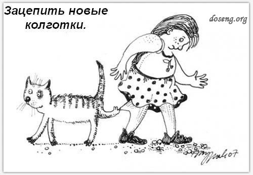 дому-кота-Обязанности-картинки-смешные картинки-фотоприколы