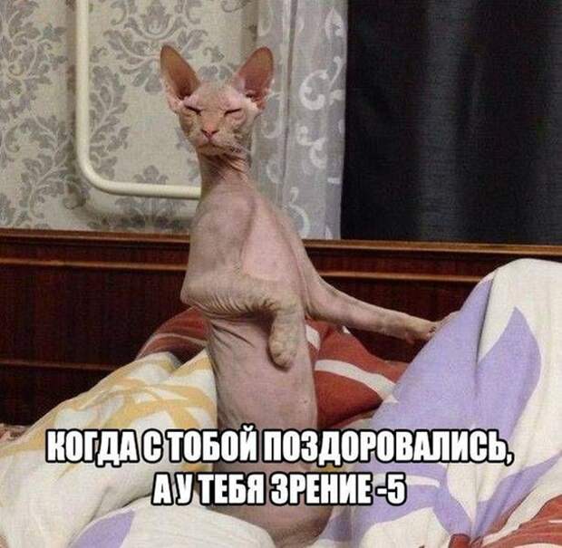 Смешная галерея фотоприколов # 140