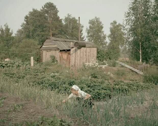 Все необходимые овощи выращиваются самостоятельно на собственном огороде.