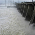Thumb_crop_2