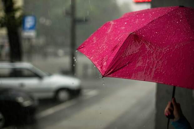 На этой неделе москвичей ожидает июльская погода с кратковременными дождями - Роман Вильфанд