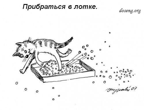 дому-кота-Обязанности-картинки-смешные картинки-фотоприколы