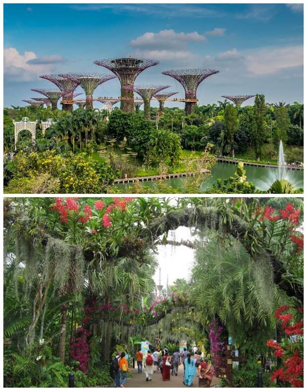 Фантастический «Сад у залива» имеет просто нереальное ландшафтное оформление (Singapore Botanic Gardens). | Фото: lifter.com.ua.
