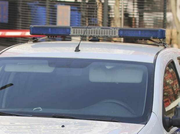 В Джорджии годовалый ребёнок умер после того, как ел тараканов и муравьёв — мать оставила шестерых детей