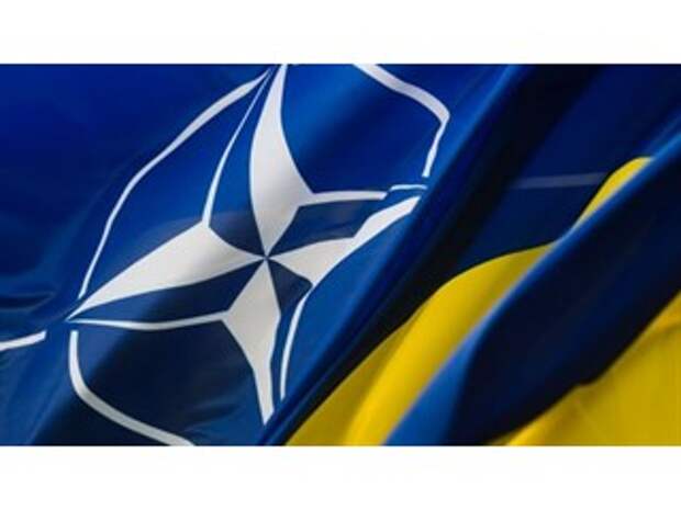 НАТО готовит Украину к большой войне