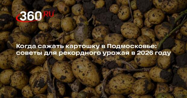 Агроном Маслов объяснил, когда сажать и как вырастить рекордный урожай картофеля