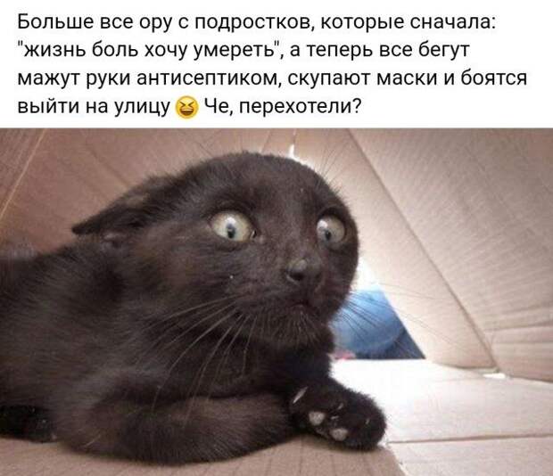 1584478518_kartinki-9.jpg