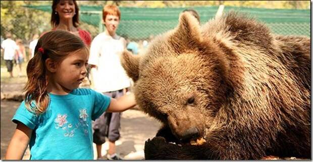 extreme-zoo_31_(funnypagenet.com)
