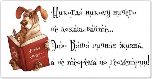 Позитивные фразочки в прикольных картинках