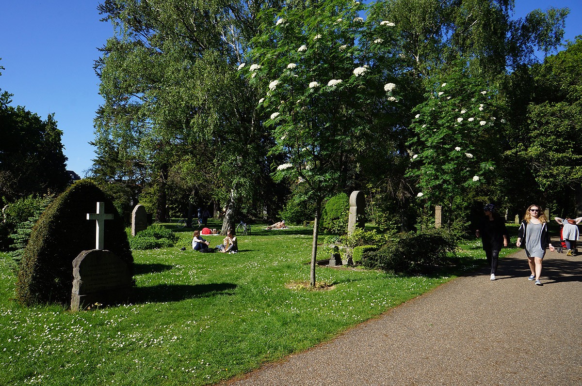 Copenhagen07 Чем заняться в Копенгагене