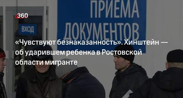 Хинштейн: ударившего ребенка в Ростовской области мигранта нужно строго судить