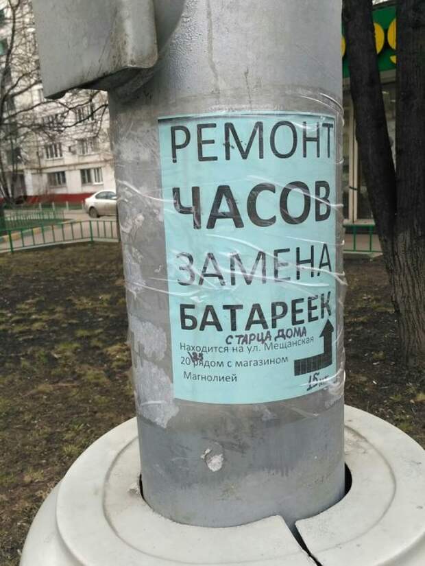 Смешные объявления, вывески и реклама (24 фото)