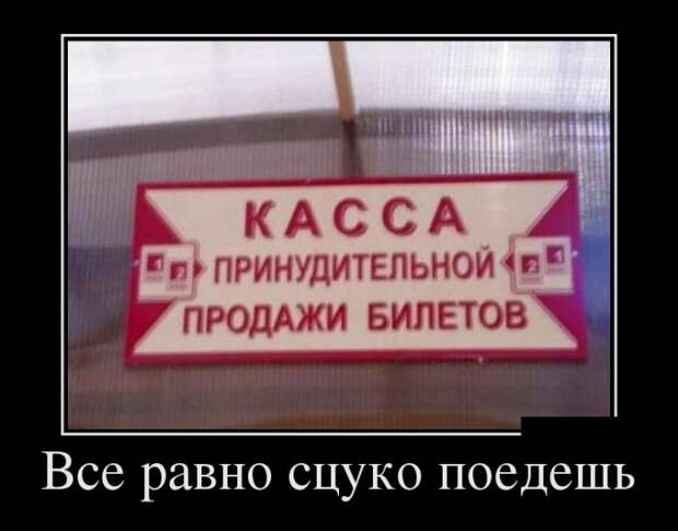 Позитивные и веселые демотиваторы для улыбки (11 фото)