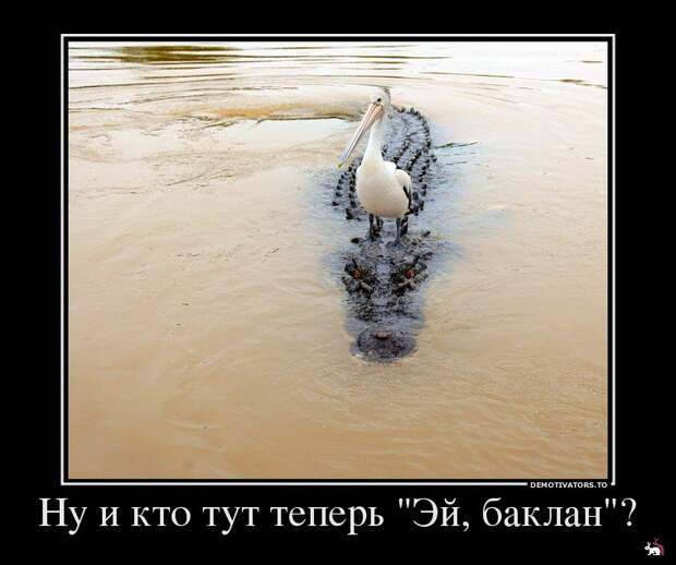 Демотиваторы и мотиваторы. Демки понедельник. Демотиваторы и мотиваторы. Демки понедельник.