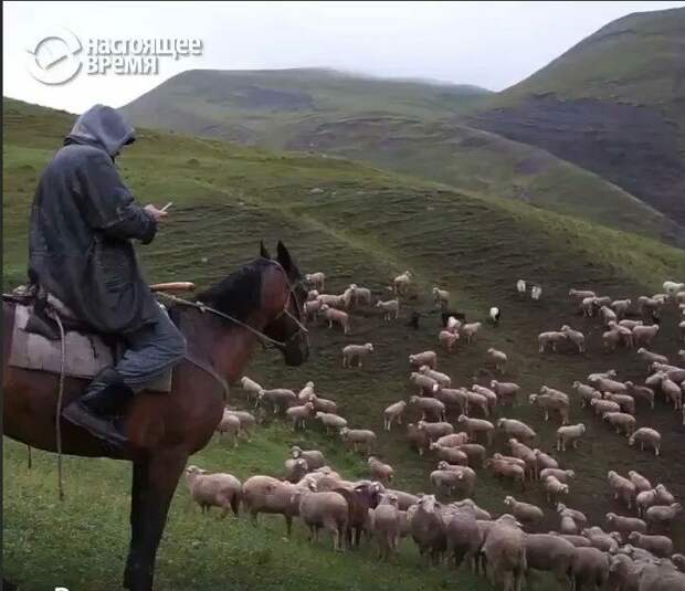 Картинка из аккаунта "Настоящее время" в Твиттер.