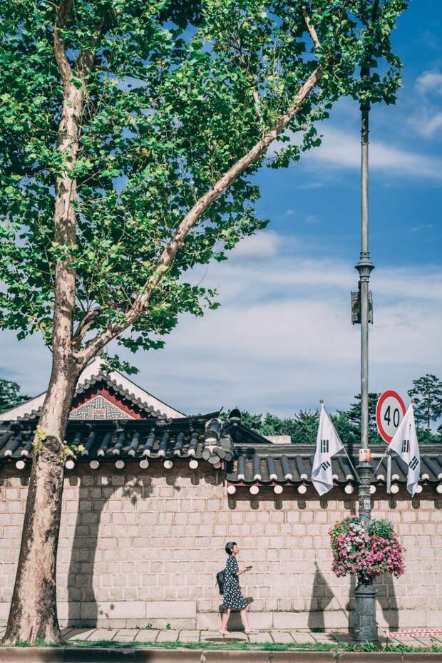 I Have Been Living In Seoul For Two Years And Here Are Some Of The Photos I Have Taken