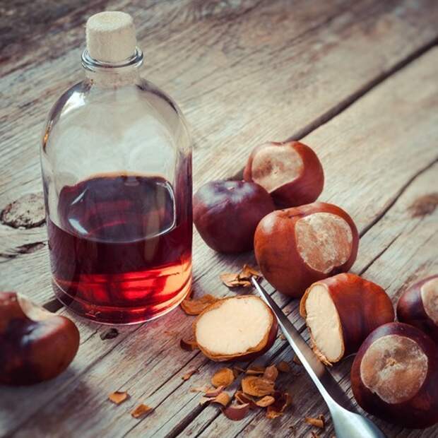 Chestnuts, knife and bottle with tincture on wooden table, herbal medicine