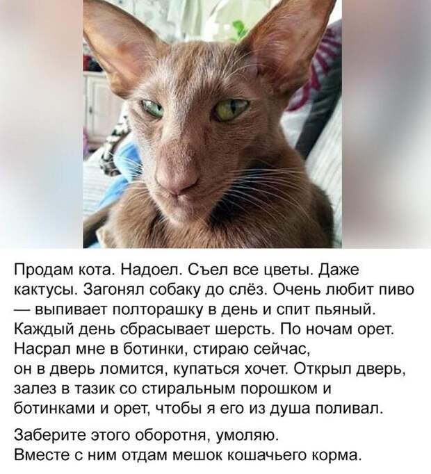 Все из жизни народной)