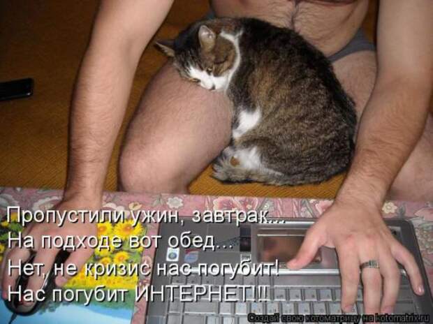 Котоматрицы (картинки с надписями)