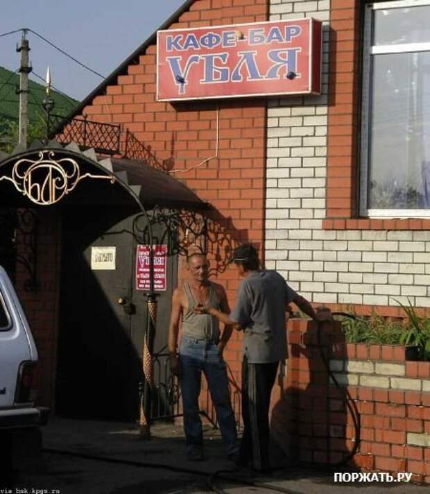 Вторничная подборочка Приколов