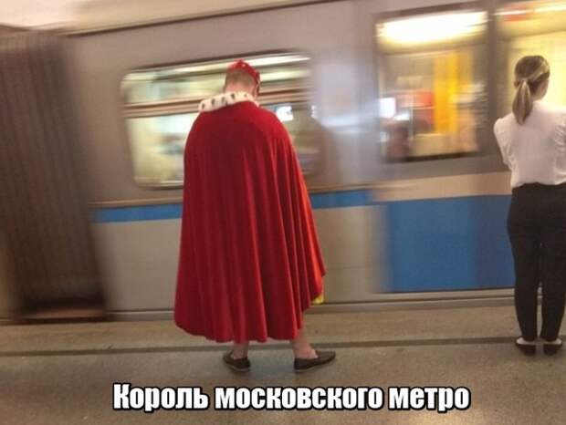 Подборка картинок. Вечерний выпуск (30 фото)