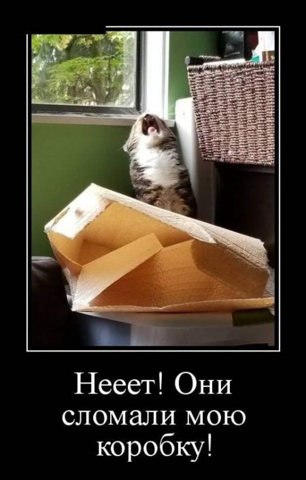 Демотиваторы Демотиваторы