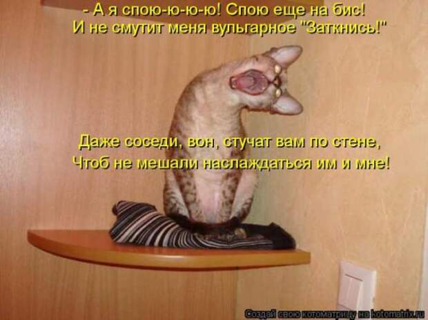 Котоматрицы (картинки с надписями)