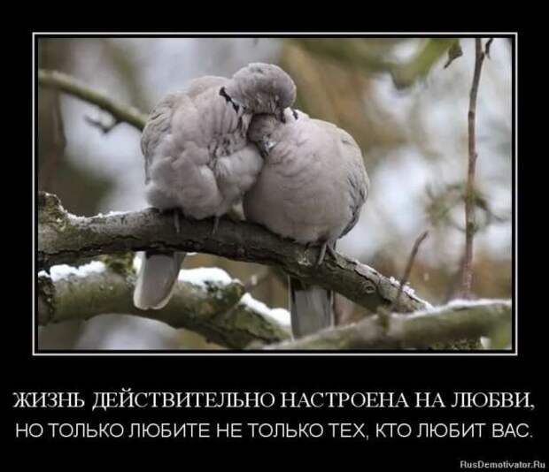 Прикольные демотиваторы с надписями. Подборка chert-poberi-dem-chert-poberi-dem-11530724102020-9 картинка chert-poberi-dem-11530724102020-9