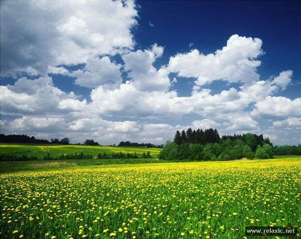 Andris_Eglitis_009 Andris_Eglitis_009