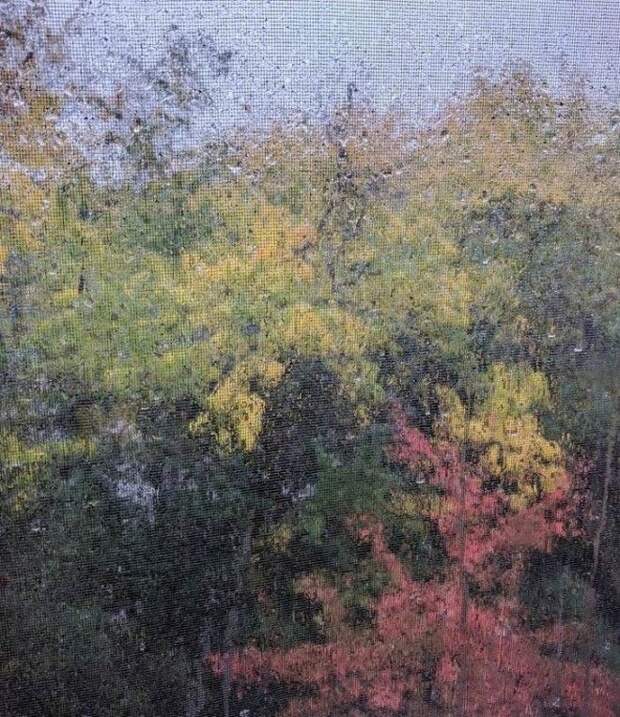 25 фотографий, на которых нет ни грамма фотошопа, хотя в это и очень сложно поверить без фотошопа крутые фотографии без фотошопа