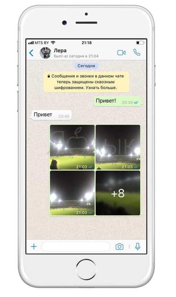 10 полезных опций WhatsApp, которые следует знать каждому