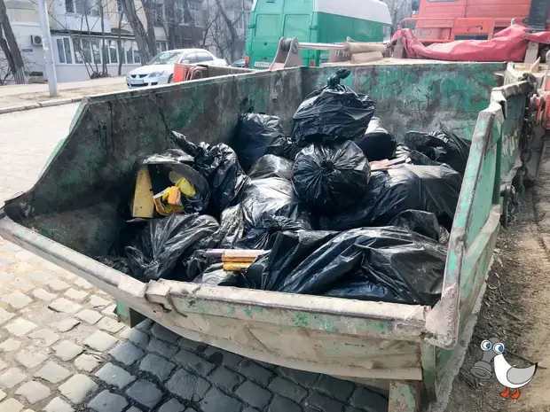 Движение «Севсвалки» продолжает вывозить мусор за свой счет