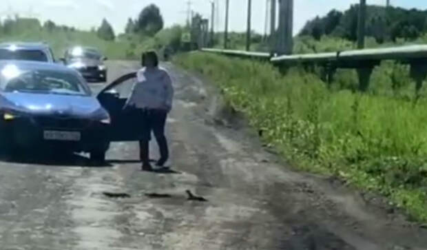 В Кузбассе мамаша с потомством умилила и остановила водителей