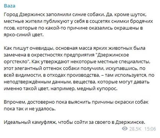 Синие собаки заполнили промзону российского города Дзержинск. Фото: Соцсети